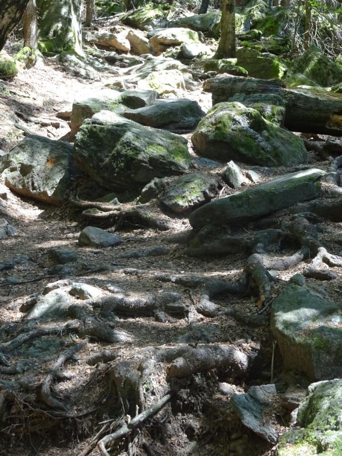 Cu-Ferienwohnungen - Nur Fuer Urlaubsgaeste Grafenwiesen Екстер'єр фото
